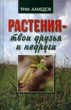 Читайте книги онлайн на Bookidrom.ru! Бесплатные книги в одном клике Рим Ахмедов - Растения – твои друзья и недруги