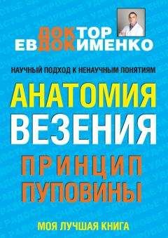 Читайте книги онлайн на Bookidrom.ru! Бесплатные книги в одном клике Павел Евдокименко - Анатомия везения. Принцип пуповины