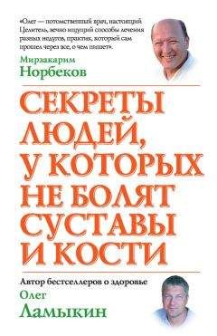 Читайте книги онлайн на Bookidrom.ru! Бесплатные книги в одном клике Олег Ламыкин - Секреты людей, у которых не болят суставы и кости