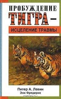 Читайте книги онлайн на Bookidrom.ru! Бесплатные книги в одном клике Питер Левин - Пробуждение тигра - исцеление травмы