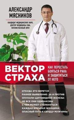 Читайте книги онлайн на Bookidrom.ru! Бесплатные книги в одном клике Александр Мясников - Вектор страха. Как перестать бояться рака и защититься от него