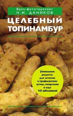 Читайте книги онлайн на Bookidrom.ru! Бесплатные книги в одном клике Николай Даников - Целебный топинамбур