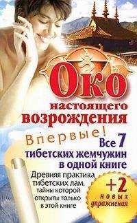 Читайте книги онлайн на Bookidrom.ru! Бесплатные книги в одном клике Петр Левин - Око настоящего возрождения