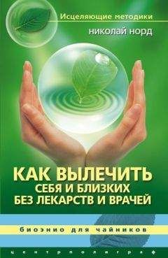 Читайте книги онлайн на Bookidrom.ru! Бесплатные книги в одном клике Николай Норд - Как вылечить себя и близких без лекарств и врачей. Биоэнио для чайников