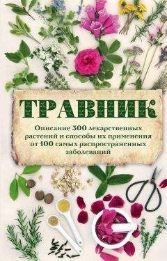 Читайте книги онлайн на Bookidrom.ru! Бесплатные книги в одном клике А. Подоляк - Травник. Описание 300 лекарственных растений и способы их применения от 100 самых распространенных заболеваний