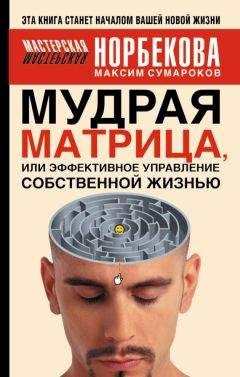 Читайте книги онлайн на Bookidrom.ru! Бесплатные книги в одном клике Максим Сумароков - Мудрая матрица, или Эффективное управление собственной жизнью