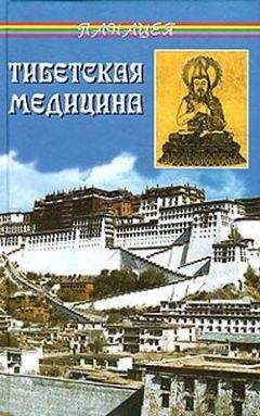 Читайте книги онлайн на Bookidrom.ru! Бесплатные книги в одном клике Петр Бадмаев - Тибетская медицина