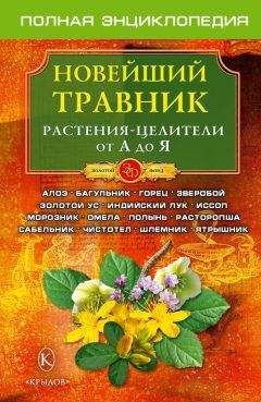 Читайте книги онлайн на Bookidrom.ru! Бесплатные книги в одном клике О. Филатов - Новейший травник. Растения-целители от А до Я