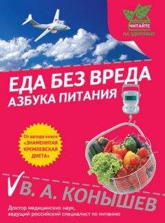 Читайте книги онлайн на Bookidrom.ru! Бесплатные книги в одном клике Виктор Конышев - Еда без вреда: Азбука питания