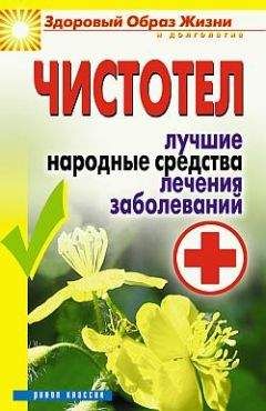 Читайте книги онлайн на Bookidrom.ru! Бесплатные книги в одном клике Екатерина Андреева - Чистотел. Лучшие народные средства лечения заболеваний