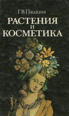 Читайте книги онлайн на Bookidrom.ru! Бесплатные книги в одном клике Г. Пашина - пашина