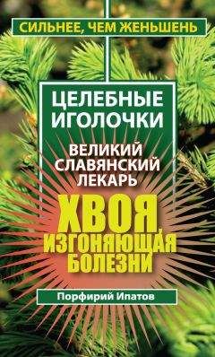 Читайте книги онлайн на Bookidrom.ru! Бесплатные книги в одном клике Порфирий Ипатов - Хвоя, изгоняющая болезни. Великий славянский лекарь
