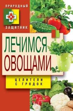 Читайте книги онлайн на Bookidrom.ru! Бесплатные книги в одном клике Дарья Нестерова - Лечимся овощами. Целители с грядок