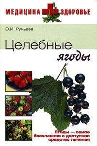 Читайте книги онлайн на Bookidrom.ru! Бесплатные книги в одном клике Оксана Ручьева - Целебные ягоды