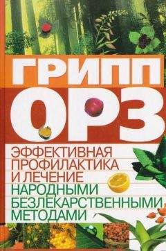 Читайте книги онлайн на Bookidrom.ru! Бесплатные книги в одном клике C. Мирошниченко - Грипп, ОРЗ: эффективная профилактика и лечение народными безлекарственными методами