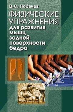 Читайте книги онлайн на Bookidrom.ru! Бесплатные книги в одном клике Владимир Лобачев - Физические упражнения для развития мышц задней поверхности бедра