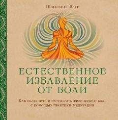 Читайте книги онлайн на Bookidrom.ru! Бесплатные книги в одном клике Шинзен Янг - Естественное избавление от боли. Как облегчить и растворить физическую боль с помощью практики медитации