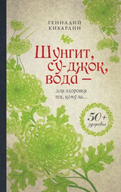 Читайте книги онлайн на Bookidrom.ru! Бесплатные книги в одном клике Геннадий Кибардин - Шунгит, су-джок, вода – для здоровья тех, кому за…