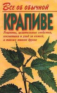 Читайте книги онлайн на Bookidrom.ru! Бесплатные книги в одном клике Иван Дубровин - Все об обычной крапиве