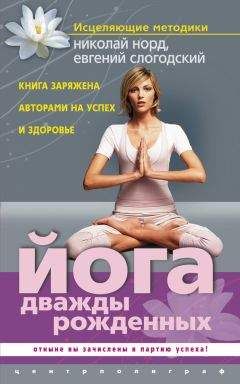 Читайте книги онлайн на Bookidrom.ru! Бесплатные книги в одном клике Евгений Слогодский - Йога дважды рожденных