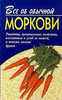 Читайте книги онлайн на Bookidrom.ru! Бесплатные книги в одном клике Иван Дубровин - Все об обычной моркови