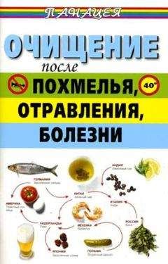 Михаил Ингерлейб - Очищение после похмелья, отравления, болезни