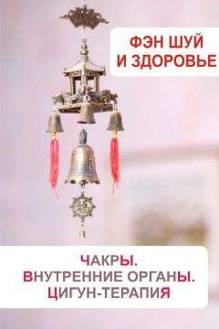 Илья Мельников - Фэн-шуй и здоровье. Чакры. Внутренние органы. Цигун-терапия