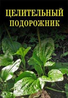 Читайте книги онлайн на Bookidrom.ru! Бесплатные книги в одном клике Иван Дубровин - Целительный подорожник