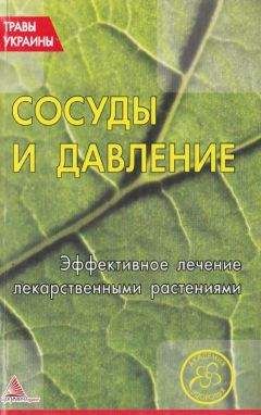 Читайте книги онлайн на Bookidrom.ru! Бесплатные книги в одном клике О. Кунаева (сост.) - Сосуды и давление. Эффективное лечение лекарственными траиами