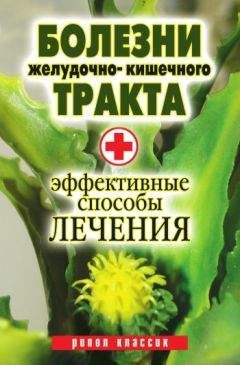 Юлия Бебнева - Болезни желудочно-кишечного тракта. Эффективные способы лечения