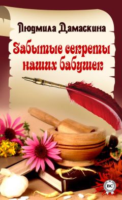 Читайте книги онлайн на Bookidrom.ru! Бесплатные книги в одном клике Людмила Дамаскина - Забытые секреты наших бабушек