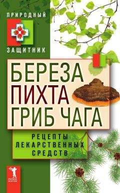 Читайте книги онлайн на Bookidrom.ru! Бесплатные книги в одном клике Ю. Николаева - Береза, пихта и гриб чага. Рецепты лекарственных средств