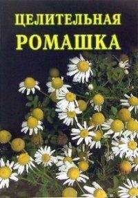 Читайте книги онлайн на Bookidrom.ru! Бесплатные книги в одном клике Иван Дубровин - Целительная ромашка