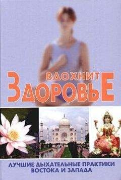 Читайте книги онлайн на Bookidrom.ru! Бесплатные книги в одном клике Сергей Новиков - Вдохните здоровье. Лучшие дыхательные практики Востока и Запада