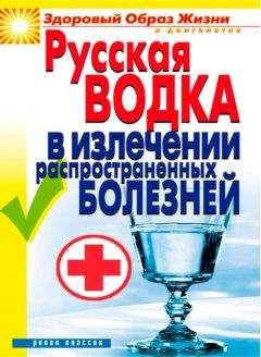 Кристина Ляхова - Русская водка в излечении распространенных болезней