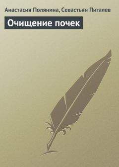 Читайте книги онлайн на Bookidrom.ru! Бесплатные книги в одном клике Севастьян Пигалев - Очищение почек