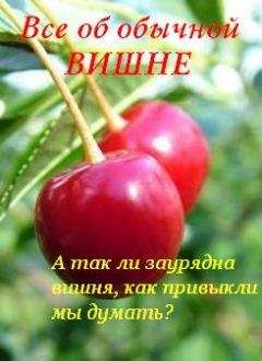 Читайте книги онлайн на Bookidrom.ru! Бесплатные книги в одном клике Иван Дубровин - Все об обычной вишне