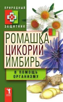 Читайте книги онлайн на Bookidrom.ru! Бесплатные книги в одном клике Юлия Николаева - Ромашка, цикорий, имбирь в помощь организму