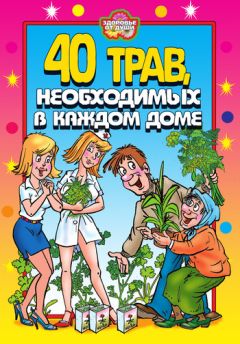 Читайте книги онлайн на Bookidrom.ru! Бесплатные книги в одном клике Юлия Сергиенко - 40 трав, необходимых в каждом доме