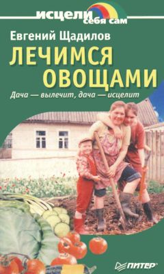 Читайте книги онлайн на Bookidrom.ru! Бесплатные книги в одном клике Евгений Щадилов - Лечимся овощами. Дача — вылечит, дача — исцелит