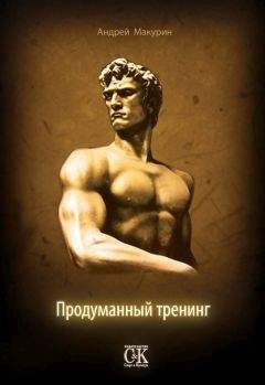 Читайте книги онлайн на Bookidrom.ru! Бесплатные книги в одном клике Андрей Макурин - Продуманный тренинг