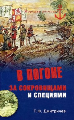 Читайте книги онлайн на Bookidrom.ru! Бесплатные книги в одном клике Тимур Дмитричев - В погоне за сокровищами и специями