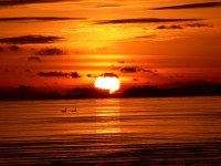 Читайте книги онлайн на Bookidrom.ru! Бесплатные книги в одном клике Maxxler - Вестерн