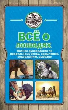 Читайте книги онлайн на Bookidrom.ru! Бесплатные книги в одном клике Игорь Скрипник - Все о лошадях. Полное руководство по правильному уходу, кормлению, содержанию, выездке