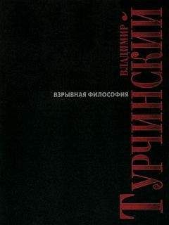 Читайте книги онлайн на Bookidrom.ru! Бесплатные книги в одном клике Владимир Турчинский - Взрывная философия