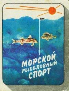 Читайте книги онлайн на Bookidrom.ru! Бесплатные книги в одном клике Николай Фетинов - Морской рыболовный спорт