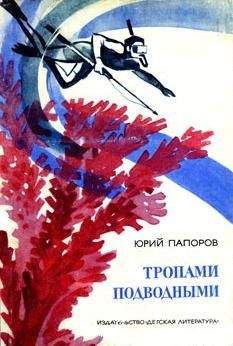 Читайте книги онлайн на Bookidrom.ru! Бесплатные книги в одном клике Юрий Папоров - Тропами подводными