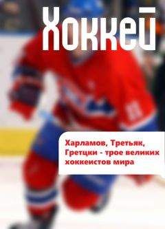 Читайте книги онлайн на Bookidrom.ru! Бесплатные книги в одном клике Илья Мельников - Харламов, Третьяк, Гретцки – трое великих хоккеистов мира