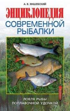 Читайте книги онлайн на Bookidrom.ru! Бесплатные книги в одном клике Андрей Яншевский - Энциклопедия современной рыбалки. Ловля рыбы поплавочной удочкой