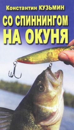 Читайте книги онлайн на Bookidrom.ru! Бесплатные книги в одном клике Константин Кузьмин - Со спинингом на окуня